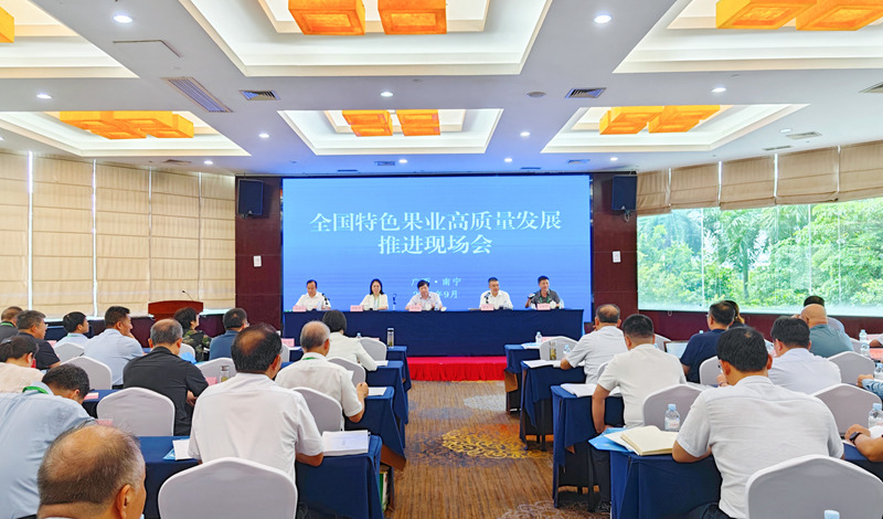 會議現(xiàn)場。主辦方供圖