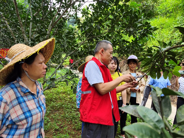 種植培訓(xùn)現(xiàn)場(chǎng)