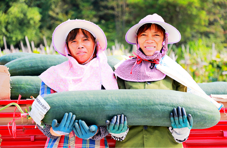 豐收的喜悅。陽海翔攝