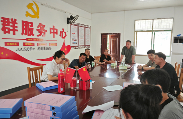 鎮(zhèn)級(jí)考核組到白果村檢查工作臺(tái)賬