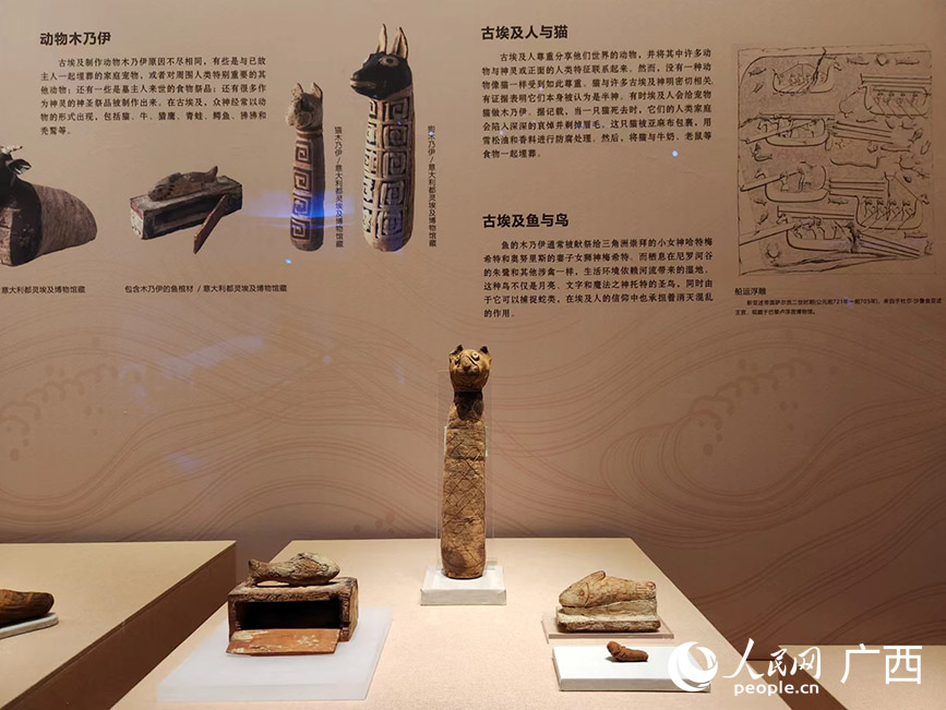 展覽展出的文物。人民網(wǎng)記者 黃子婧攝