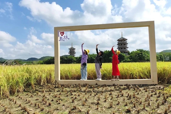 市民在稻田文化藝術區(qū)打卡