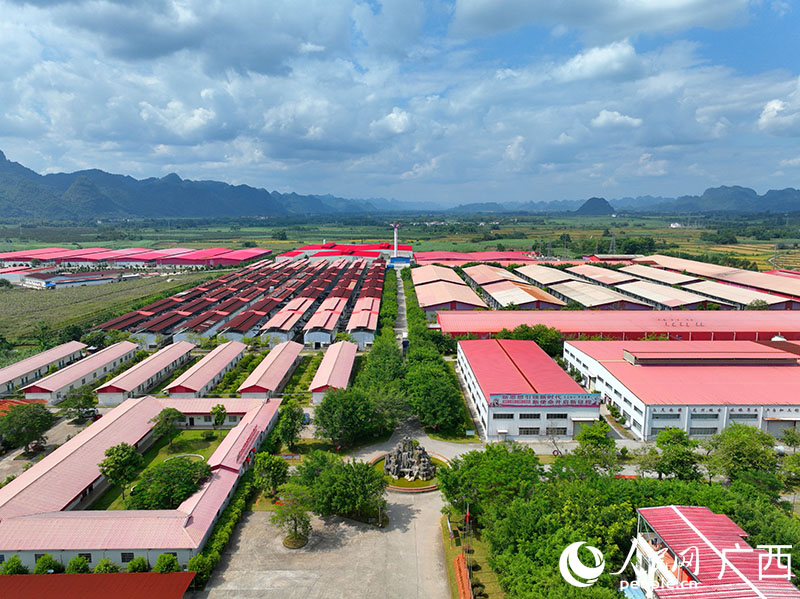 廣西龍州北部灣公司廠區(qū)。人民網(wǎng) 付華周攝.jpg