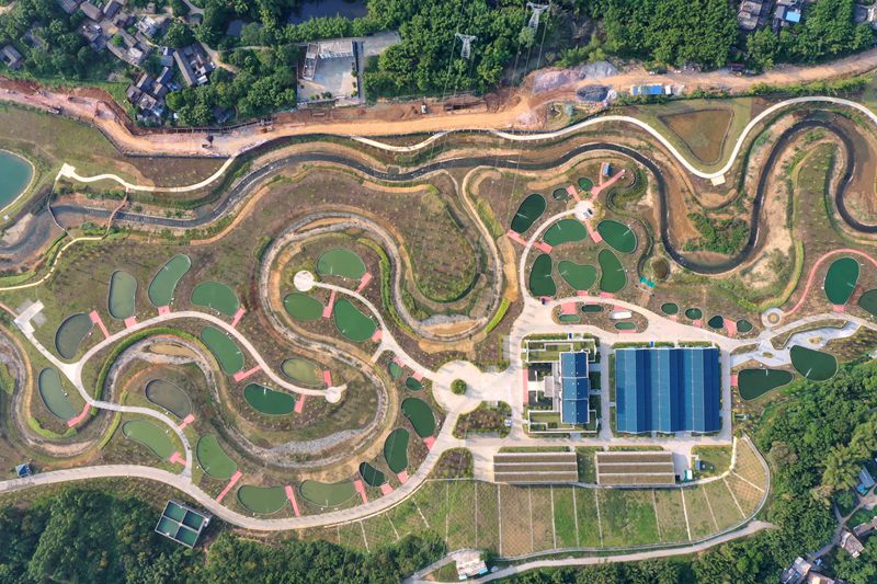 仿自然生態(tài)過魚通道。大藤峽公司供圖