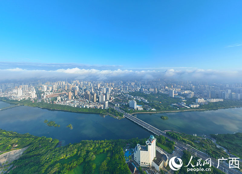 綠城南寧。人民網(wǎng) 付華周攝