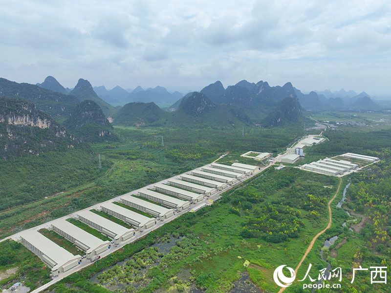 通過“土地預(yù)流轉(zhuǎn)”模式建設(shè)的富硒蛋雞產(chǎn)業(yè)基地。人民網(wǎng) 付華周攝