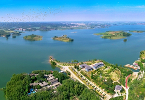 濕地公園風(fēng)光