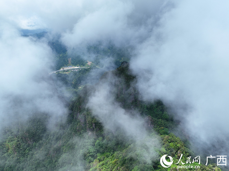 平南北帝山云海。人民網(wǎng) 付華周攝