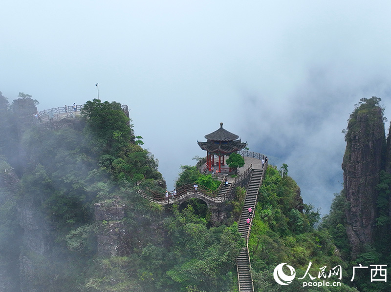 游客在平南北帝山打卡觀光。人民網(wǎng) 付華周攝