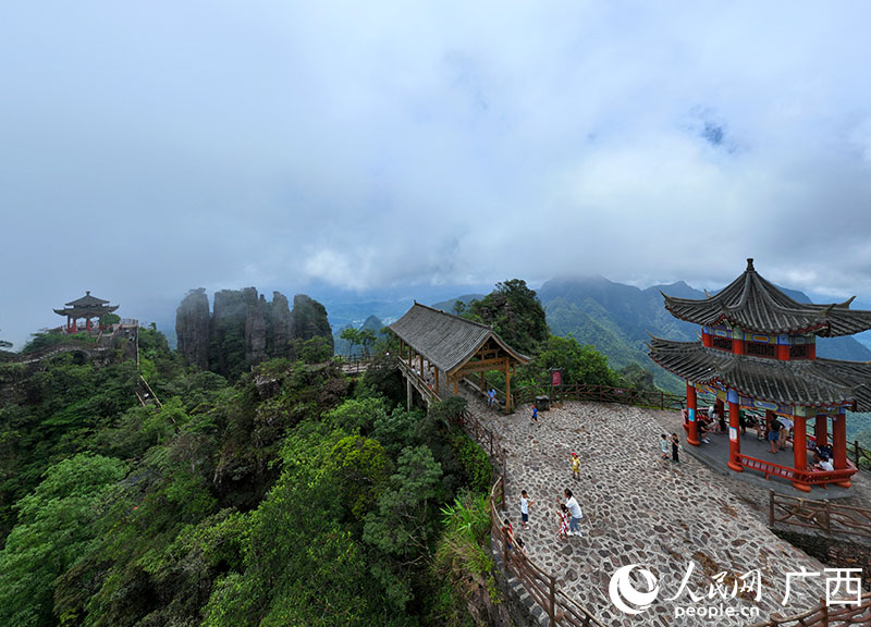 游客在平南北帝山打卡觀光。人民網(wǎng) 付華周攝