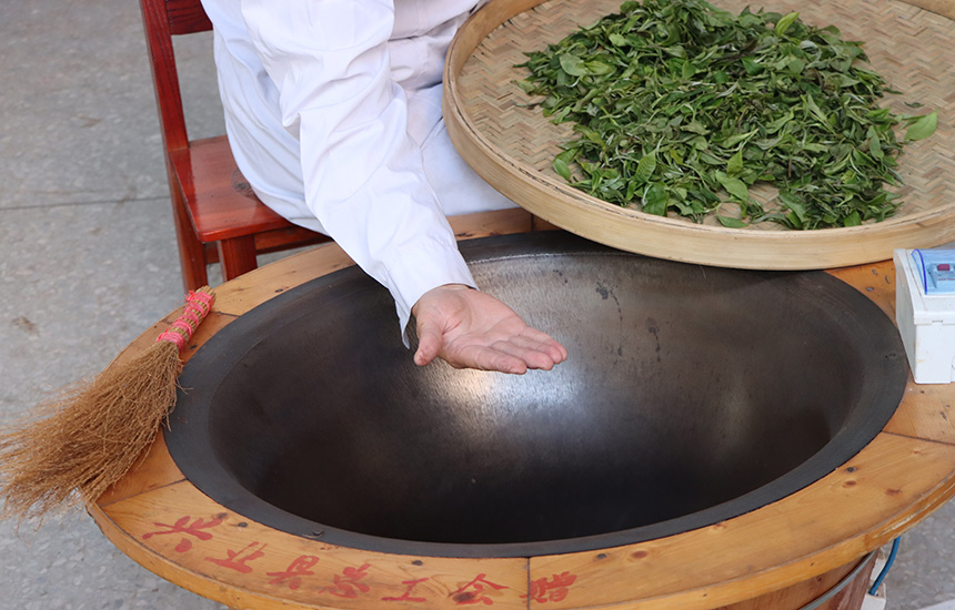 起鍋炒茶，楊青梅用手感受溫度。黃紫玥攝