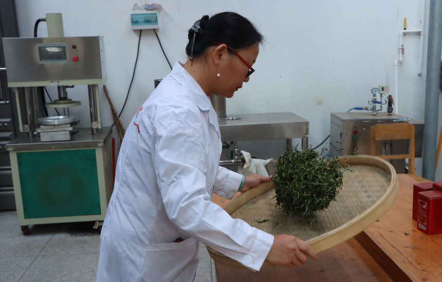 篩去殘?jiān)?。黃紫玥攝