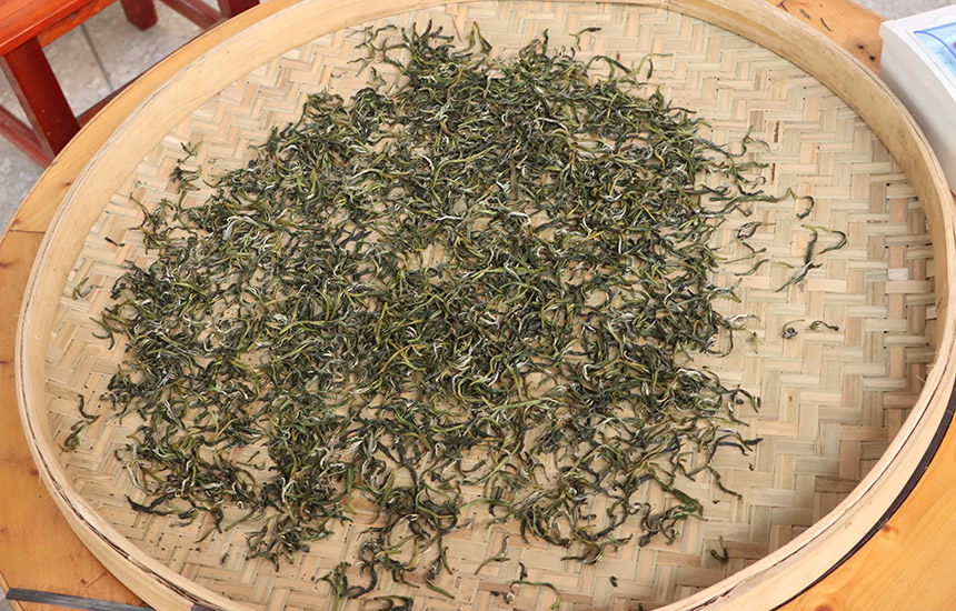 觀察茶葉狀態(tài)，制茶即將完成。黃紫玥攝