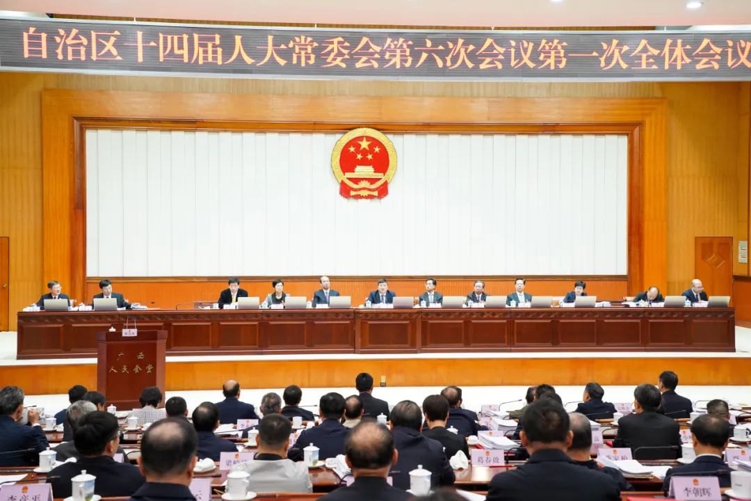 自治區(qū)十四屆人大常委會第六次會議現(xiàn)場