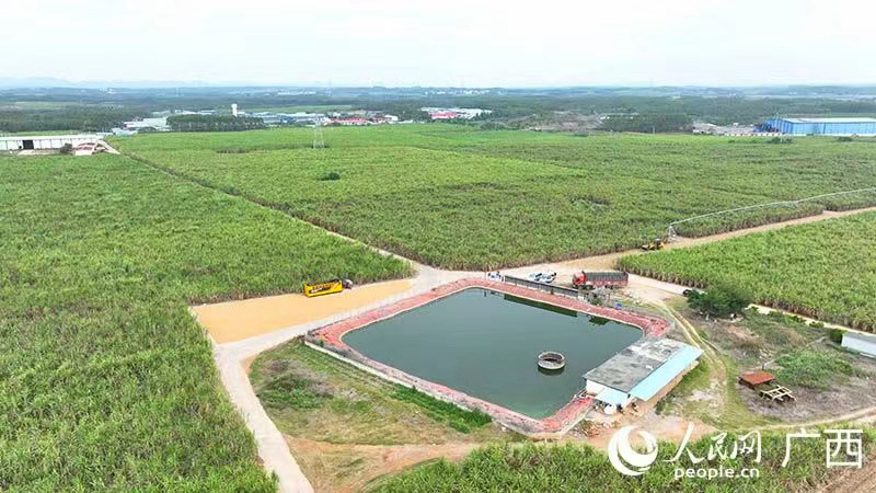 設(shè)施完善的現(xiàn)代化甘蔗種植區(qū)。人民網(wǎng) 付華周攝