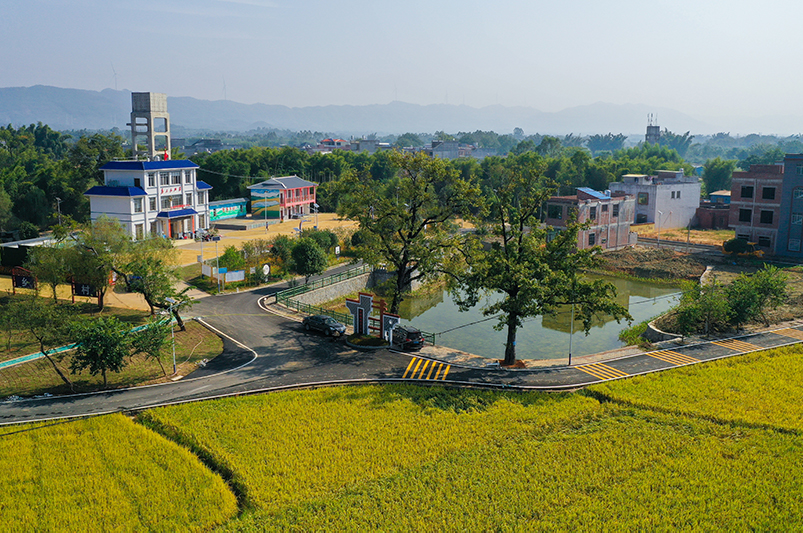 回龍村新貌。羅凱攝