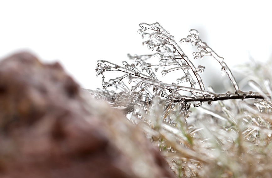 霧凇美景。陽海翔攝