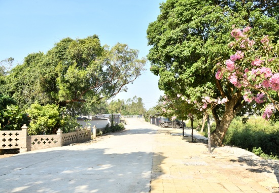 改造后的南康鎮(zhèn)秋風(fēng)塘村委勞屋村風(fēng)景如畫