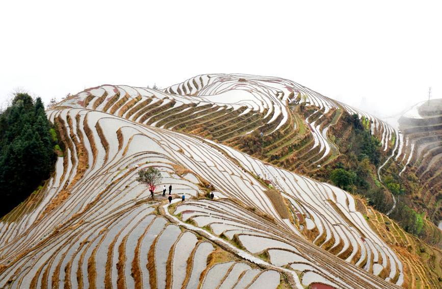 冬日梯田景如畫(huà)