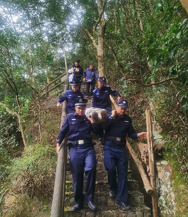 救援民輔警小心將受傷游客抬下山