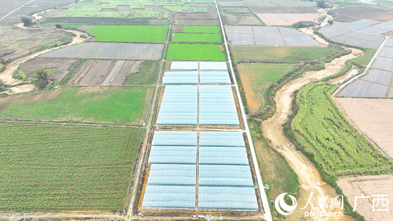 忻城縣易地搬遷創(chuàng)業(yè)就業(yè)示范基地。人民網(wǎng) 付華周攝