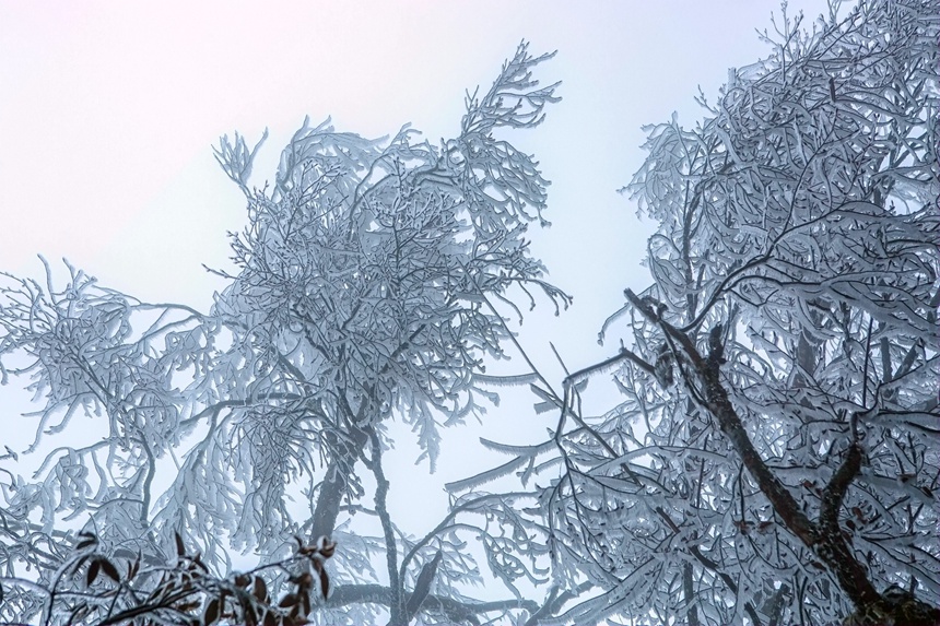 銀裝素裹。李世華攝