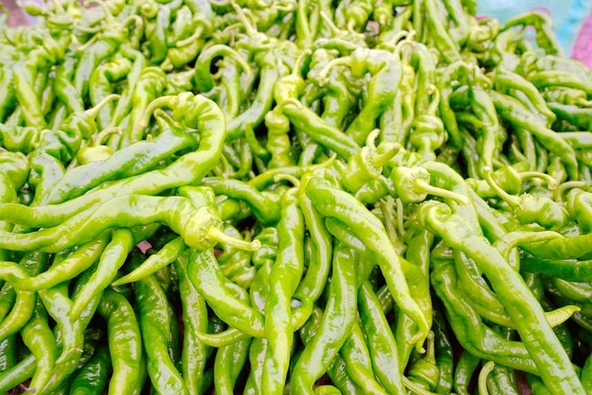 新鮮采摘的辣椒。