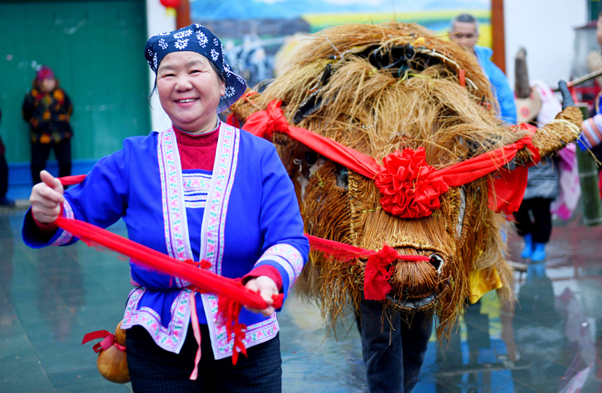 侗族群眾在“鬧”春牛。潘志祥攝