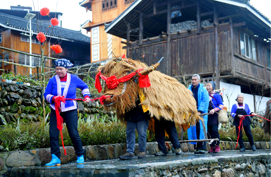 侗族群眾在參加春牛巡游祈?；顒?dòng)。潘志祥攝