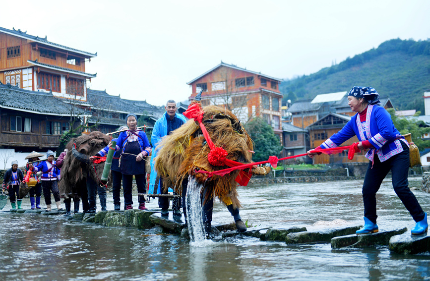 侗族群眾在參加春牛巡游祈?；顒?dòng)。潘志祥攝