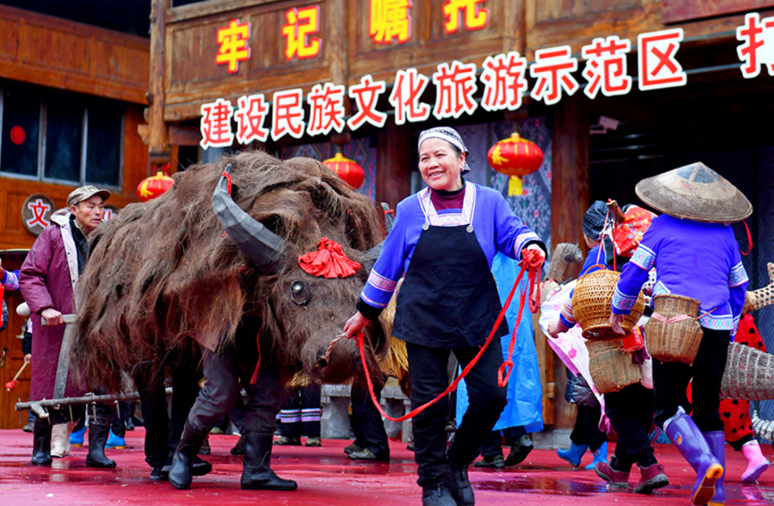 侗族群眾在“鬧”春牛。潘志祥攝