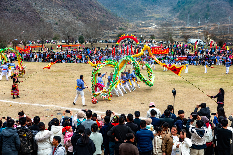 活動現(xiàn)場。楊必盛攝