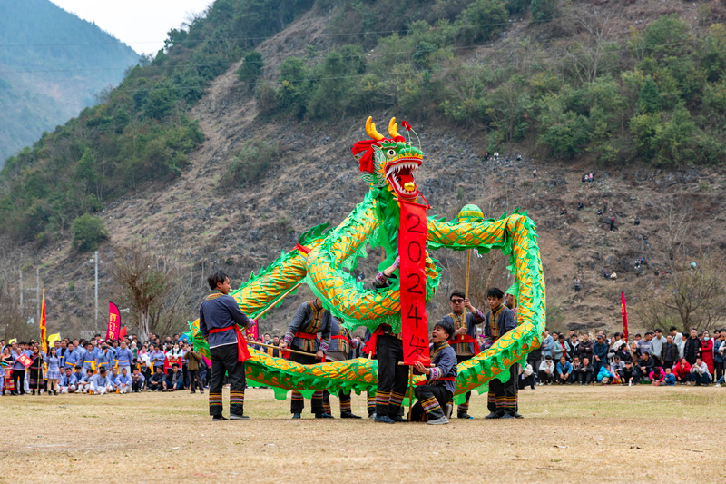 活動現(xiàn)場。楊必盛攝