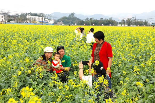 前來(lái)拍照打卡的游客們