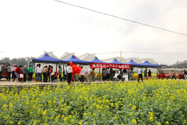 洞心村農(nóng)產(chǎn)品展銷區(qū)