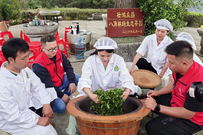 炒青。黃華江攝