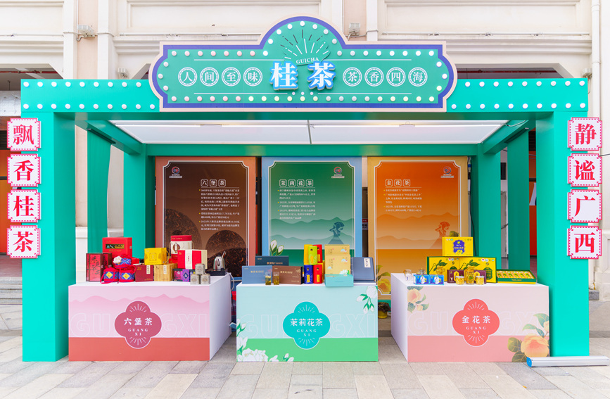 桂茶展示。