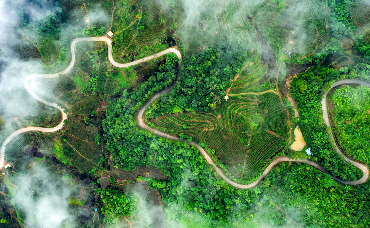 夢幻的詩境，舞動(dòng)的絲帶，飄蕩著千年的茶香