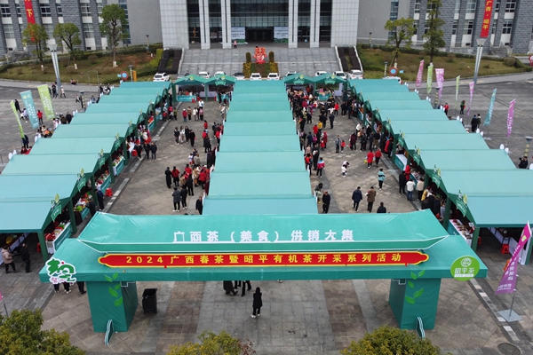 茶葉大廈活動(dòng)現(xiàn)場