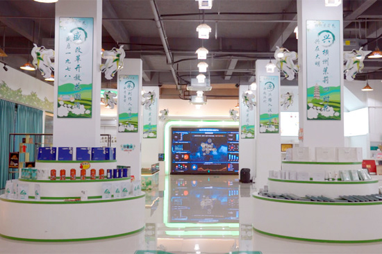 橫州市電子商務(wù)產(chǎn)業(yè)園孵化中心里的各類電商產(chǎn)品。唐銘敏攝