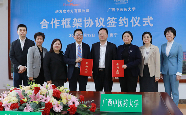 "多點開花"服務振興發(fā)展——廣西中醫(yī)藥大學推進全面社會服務