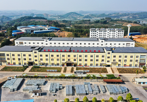 金秀瑤醫(yī)藥科技企業(yè)孵化基地。金秀融媒體中心供圖