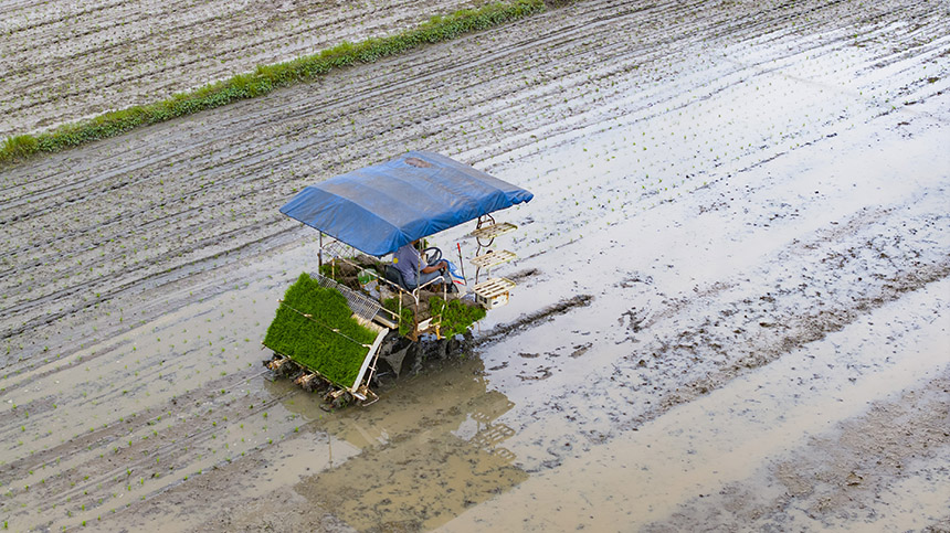 村民用農(nóng)耕機耕種。