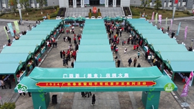 2024廣西茶·美食供銷大集活動在昭平成功舉辦