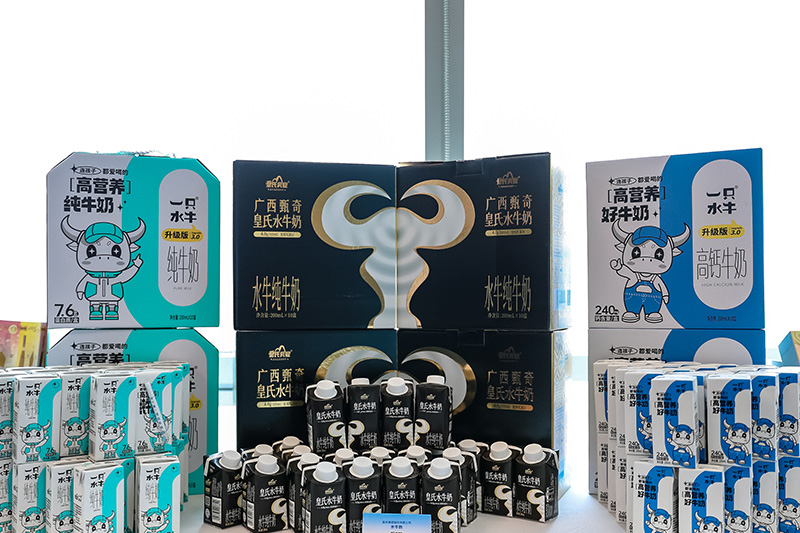 “桂奶”亮相活動現(xiàn)場。主辦方供圖