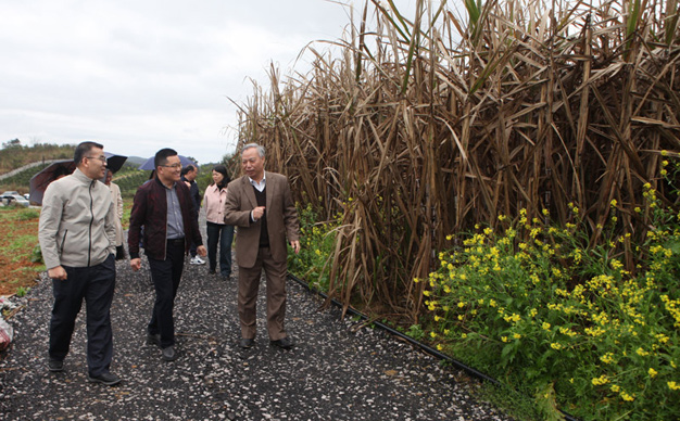 國家科技特派團(tuán)到融水開展“科技下鄉(xiāng)促春耕”服務(wù)活動