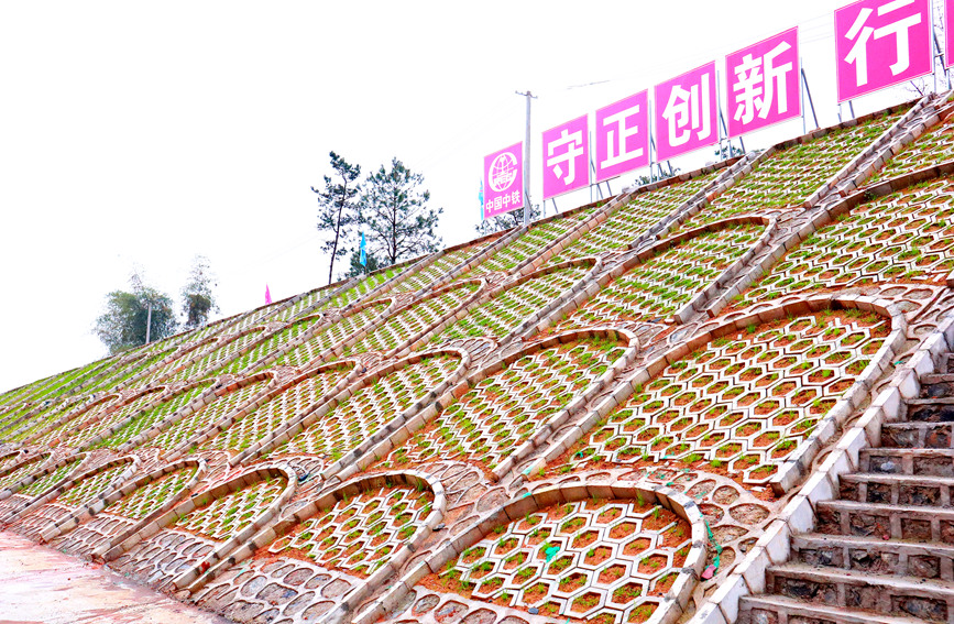 路基拱形骨架護(hù)坡綠化。謝雨婕