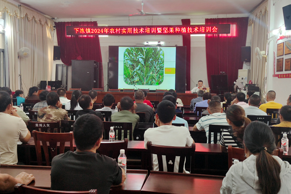 堅(jiān)果種植技術(shù)理論培訓(xùn)現(xiàn)場