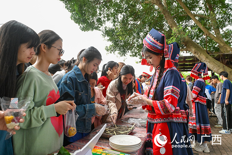 學(xué)生們體驗(yàn)艾粑制作過程。人民網(wǎng) 雷琦竣攝