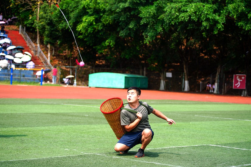 背簍繡球。桂林理工大學(xué)南寧分校供圖
